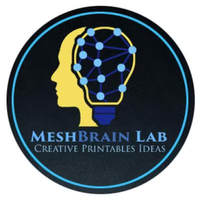 MeshBrain Lab