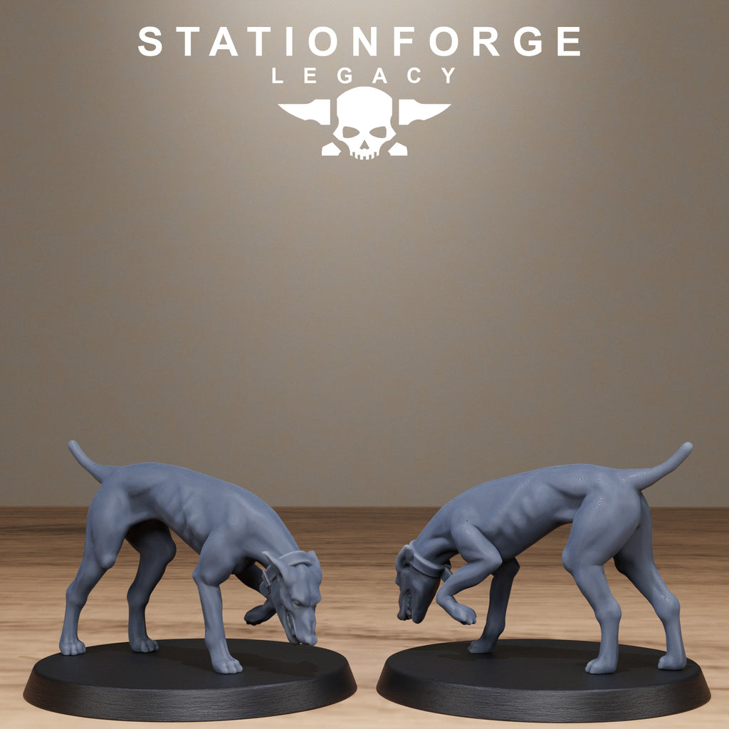 Thorncrest Witch Hunters from StationForgeLegacy/10 Miniatures +Gratis Bases