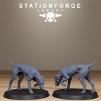 Thorncrest Witch Hunters from StationForgeLegacy/10 Miniatures +Gratis Bases