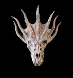 Blue Dragon Skull, 3D gedruckte Wand Deko, Dungeon Deko, Halloween Deko von Stlflix
