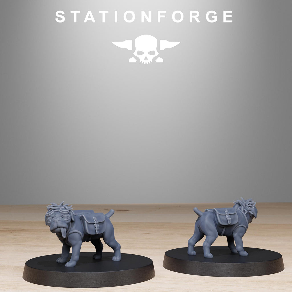 GrimGuard Skulldart Trappers from StationForge/14 Tabletop, Wargame Miniatures +Gratis Bases