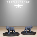 GrimGuard Skulldart Trappers from StationForge/14 Tabletop, Wargame Miniatures +Gratis Bases