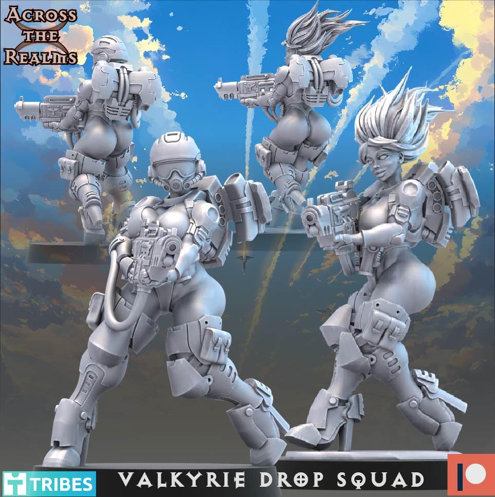 Valkyrie Drop Squad from Across the Realms,13 Wargame Miniatures+ Gratis Bases