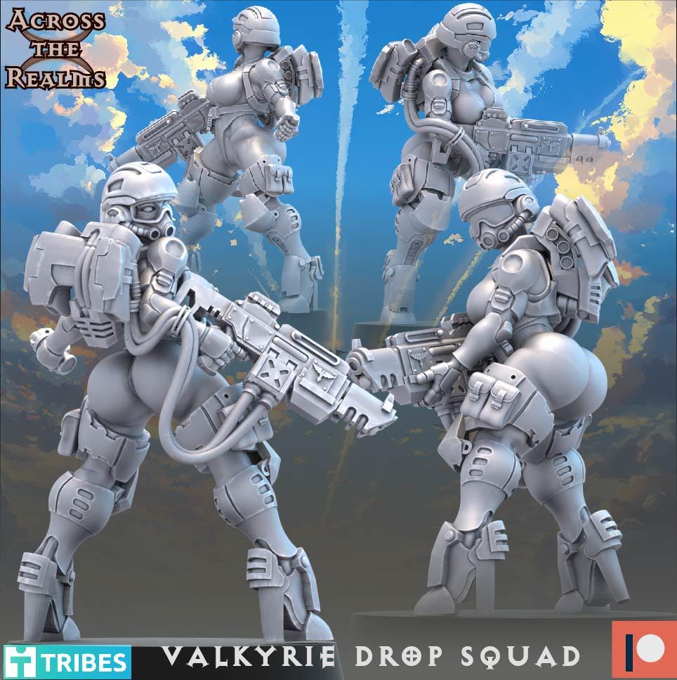 Valkyrie Drop Squad from Across the Realms,13 Wargame Miniatures+ Gratis Bases