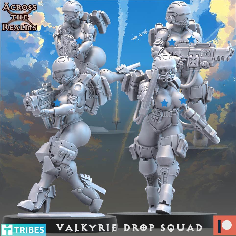 Valkyrie Drop Squad from Across the Realms,13 Wargame Miniatures+ Gratis Bases