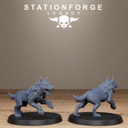 Thorncrest Hunters from StationForgeLegacy/10 Miniatures +Gratis Bases