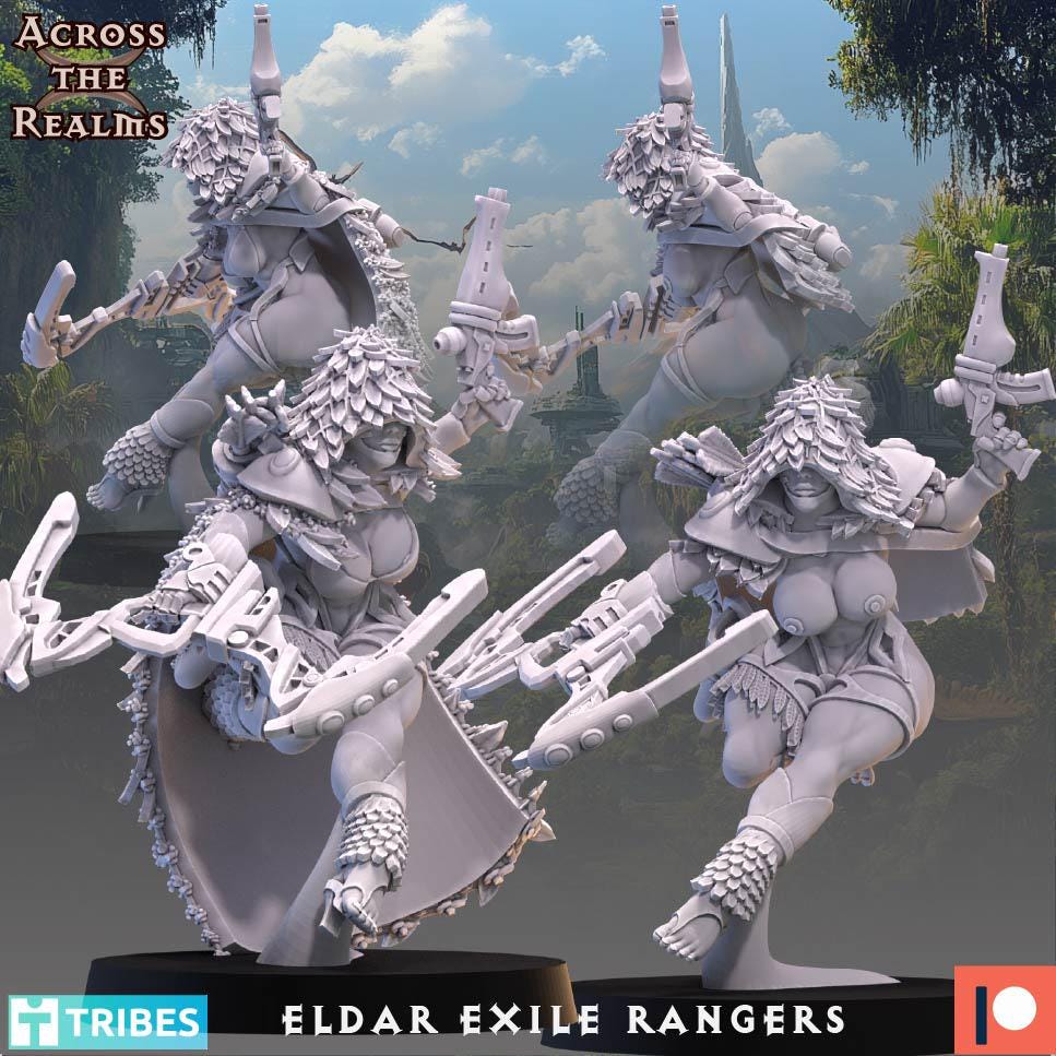 Exile Rangers from Across the Realms,5 Wargame Miniature+ Gratis Bases