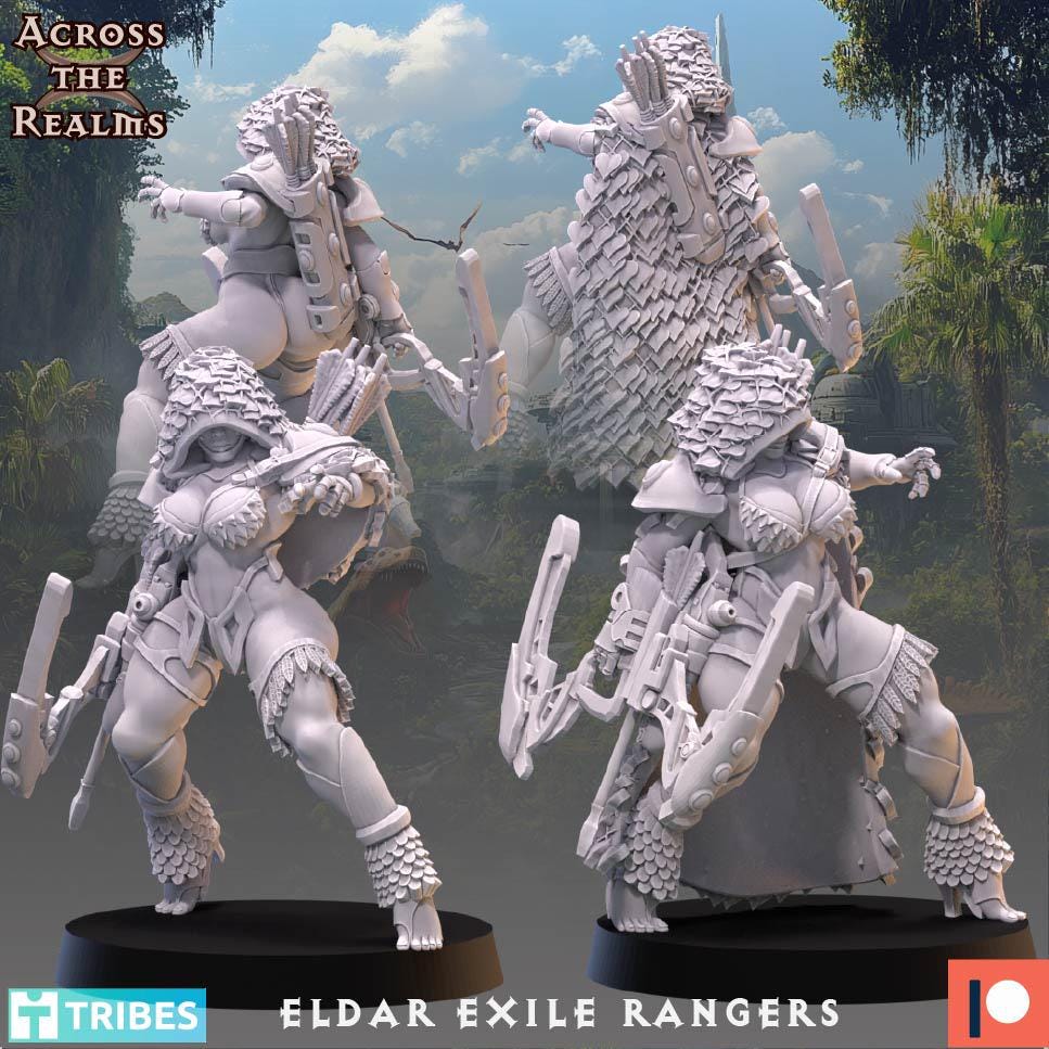 Exile Rangers from Across the Realms,5 Wargame Miniature+ Gratis Bases