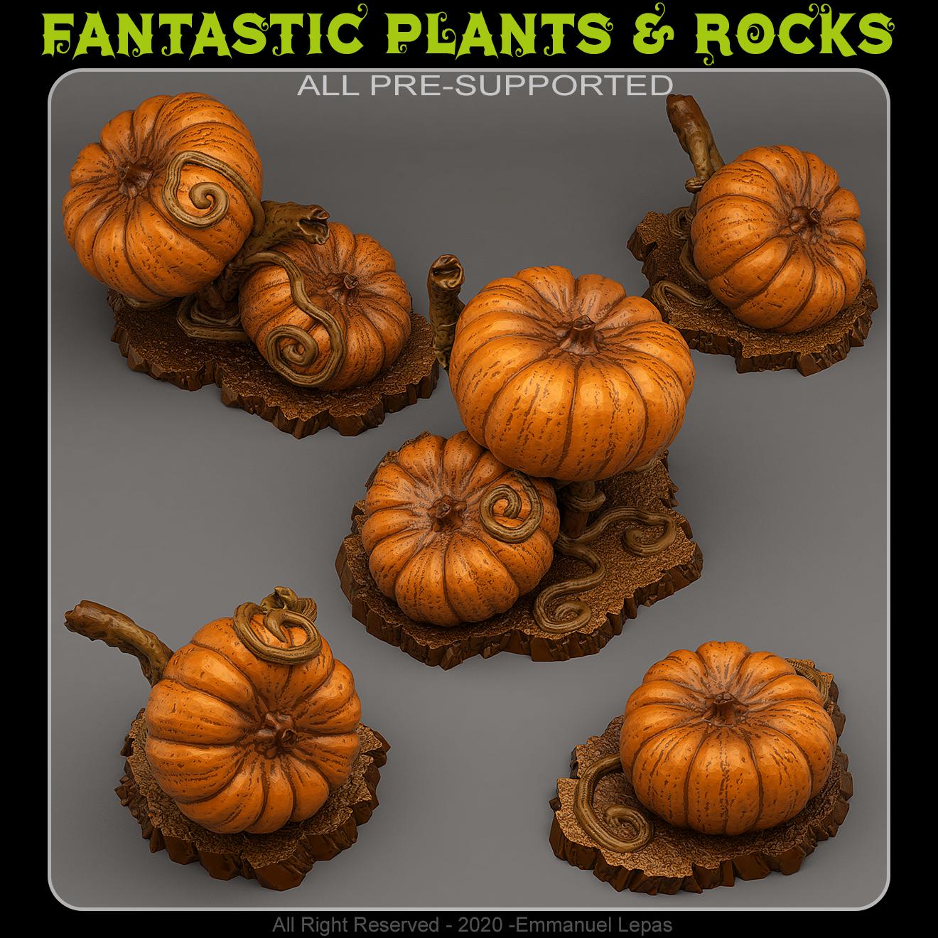 Giant pumpkins from Fantastic Plants And Rocks /5 Miniatures